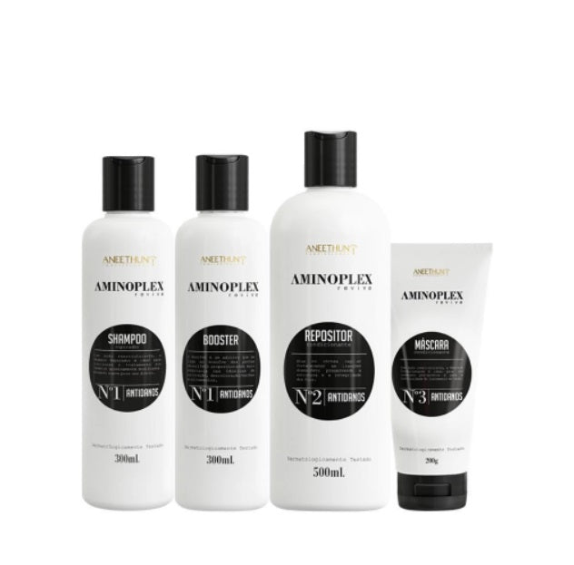 Aneethun Hair Care Kits Aminoplex Protection Hair Strength Relieve Treatment Kit 4 Itens - Aneethun