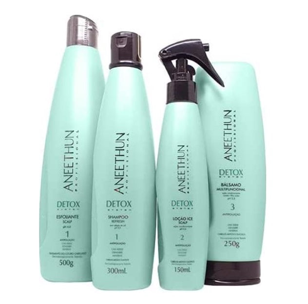 Aneethun Hair Care Kits Detox System Hair Healthy Antioxidant Refresh Treatment Kit 4 Itens - Aneethun